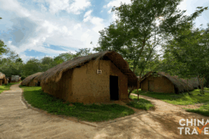 Bai Cha Village: Guardians of Li Heritage in Hainan’s Modern Era 🌿🏡