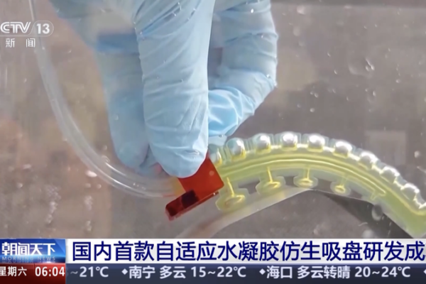 China Unveils First Adaptive Hydrogel Suction Disc for Underwater Tech 🌊🔧