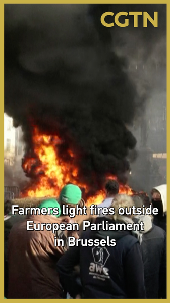 🌱🔥 EU Farmers Protest Mercosur Trade Deal in Brussels video poster