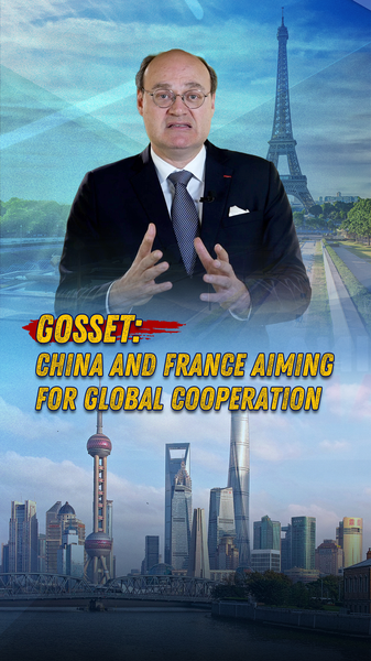 China & France Forge New Global Synergy, Expert Says 🌍🤝 video poster