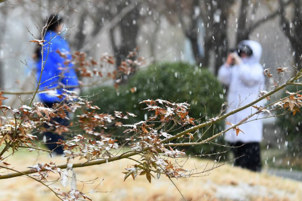 China Braces for Arctic Blast: Temps to Plummet 12°C 🌨️❄️