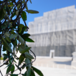 5BH6QVED2F3R73PBHAH9 - 🌍NewspaperAmigo – Your Global News Buddy 🗞️ Supreme Court to Rule on Trump's Birthright Citizenship Order 🏛️👶