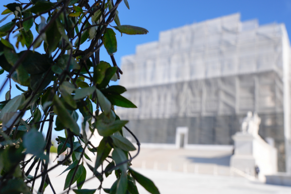 Supreme Court to Rule on Trump's Birthright Citizenship Order 🏛️👶