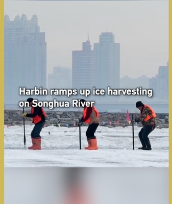 Harbin Kicks Off Massive Ice Harvest for 2025 Winter Spectacle ❄️ video poster