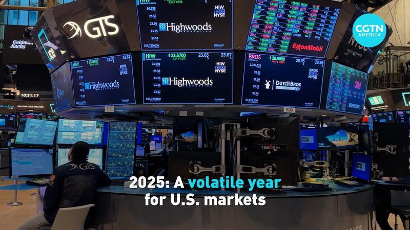 2025: Wall Street’s Wild Ride Through Tariffs, AI & Inflation 🎢📉 video poster