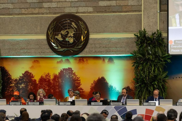 UNEA-7 Wraps Up With Bold Climate Resolutions 🌱✨