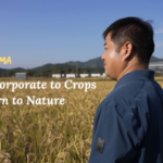 7X7YMETYOZ8RG6AHZSZV - 🌍NewspaperAmigo – Your Global News Buddy 🗞️ From Boardrooms to Rice Fields: A Decade of Eco-Farming in Zhejiang 🌱 video poster
