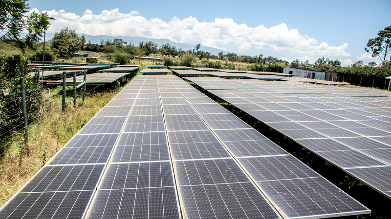 🌱 Chinese & African Experts Push Clean Energy as Climate Game-Changer 🌍
