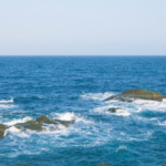 Hainan's Wuzhizhou Island Blends Eco-Tourism & Coral Revival 🌊✨ video poster