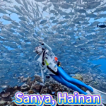 Dive into Sanya’s Underwater Wonderland 🌊🐠 video poster