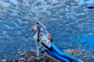 Dive into Sanya’s Underwater Wonderland 🌊🐠 video poster
