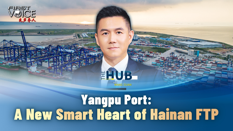 Yangpu Port: Hainan’s Smart Trade Hub Goes Global 🌏⚡ video poster