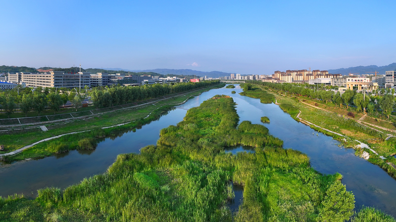 China Proposes Global Eco-Collab in New Environmental Code 🌱🌍