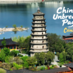 China's Ancient Pagoda Defies 1,000 Years of Earthquakes 🏯🌍 video poster