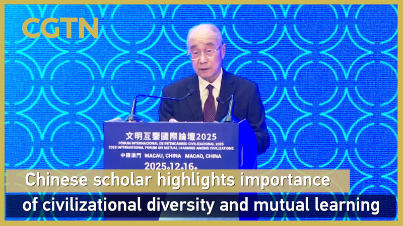 Civilization Diversity Key to Global Peace, Scholar Urges at Macao Forum 🌏✨ video poster