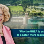 UNEA 2025: Global Unity for a Safer Earth 🌍