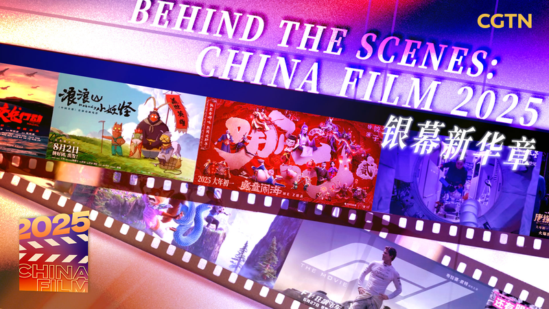 Chinese Cinema 2025: Global Trends & Cultural Bridges 🎬🌍 video poster