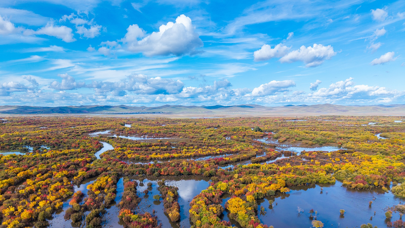 China's Wetland Conservation Hits Major Milestone in 2025 🌱