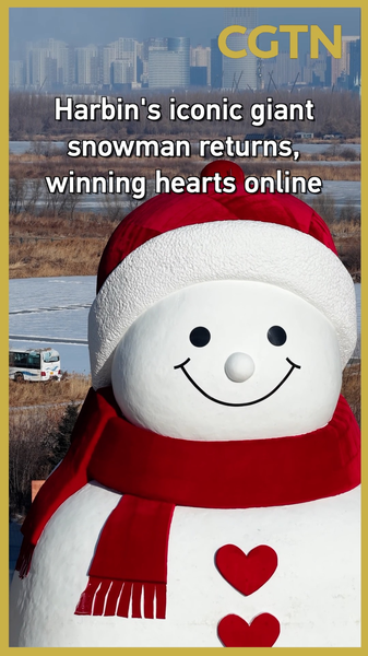 Harbin's Giant Snowman Returns to Melt Hearts in 2025 ❄️⛄ video poster