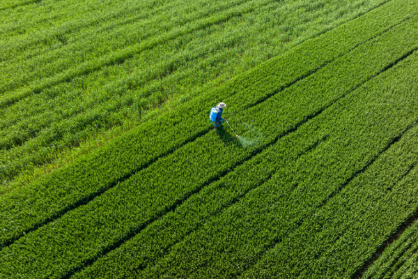 China's 2025 Rural Revamp: Farming Future in Focus 🌾🚜