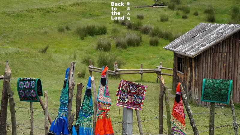 Threads of Tradition: Yi Embroidery Weaves Nature’s Spirit 🌿✨