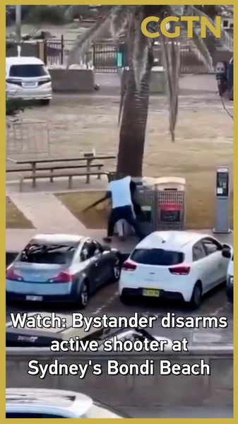 Heroic Bystander Disarms Gunman in Sydney's Bondi Beach Tragedy 🦸♂️🔫 video poster