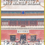 Beijing's First Snow Transforms Palace Museum into Winter Wonderland ❄️🏯 video poster