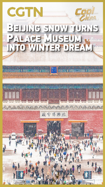 IQ85L8E5K2ANUZX649PB - 🌍NewspaperAmigo – Your Global News Buddy 🗞️ Beijing's First Snow Transforms Palace Museum into Winter Wonderland ❄️🏯 video poster