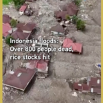 Indonesia_Floods_Claim_800_Lives__Trigger_Rice_Crisis_poster - 🌍NewspaperAmigo – Your Global News Buddy 🗞️ Indonesia_Floods_Claim_800_Lives__Trigger_Rice_Crisis video poster