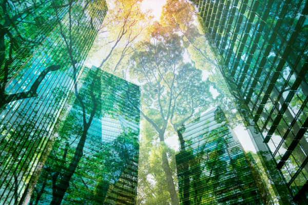 Green Economy Set to Skyrocket: $7 Trillion by 2030 🌱💼