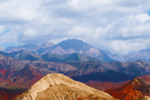 Xinjiang Forum Boosts Central Asia Trade Ties 🌏💼