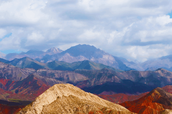 Xinjiang Forum Boosts Central Asia Trade Ties 🌏💼