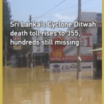 Cyclone Ditwah Ravages Sri Lanka: 355 Dead, Hundreds Missing 🌪️🇱🇰 video poster