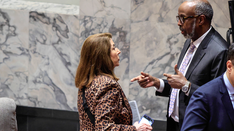 Arab States Slam Israel's Somaliland Recognition 🌍✊