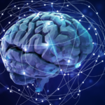 Human Brains & AI: Surprising Similarities Uncovered 🧠🤖