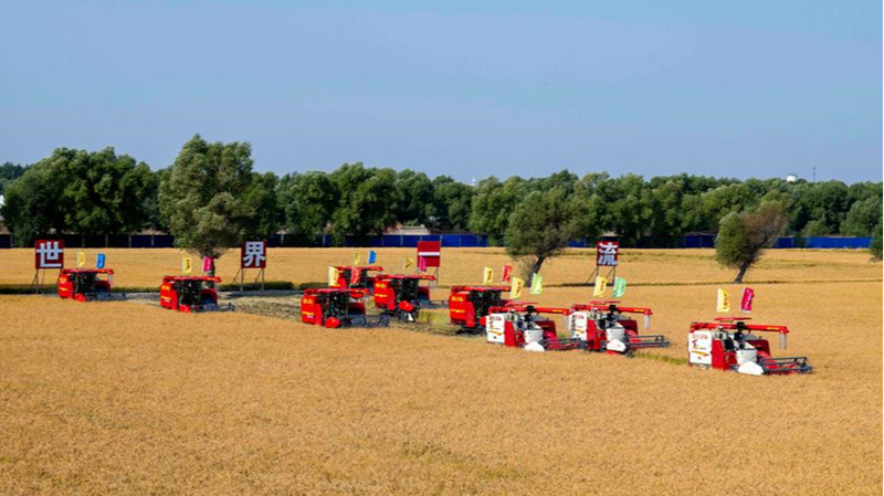 China's Agri-Tech Boom: Farming Goes Digital 🌾💻