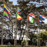 QSVQUOPMPCWSRZ4ZB5QP - 🌍NewspaperAmigo – Your Global News Buddy 🗞️ China's Green Fund Boosts Global Biodiversity Efforts 🌱🌍