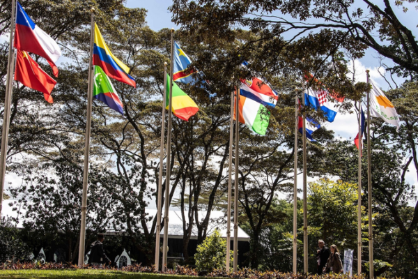 China's Green Fund Boosts Global Biodiversity Efforts 🌱🌍