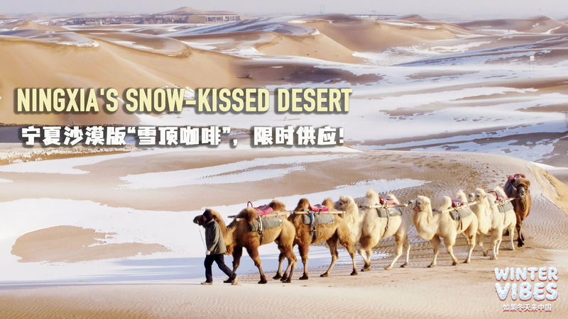 Ningxia's Desert Winter Wonderland: Snow Meets Sand Dunes 🌨️🏜️ video poster