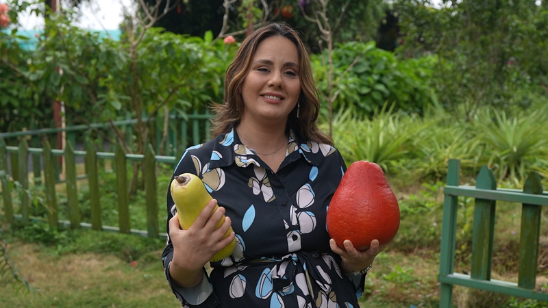 Hainan's Tropical Revolution: Global Fruits Meet High-Tech Farming 🌴🍍 video poster