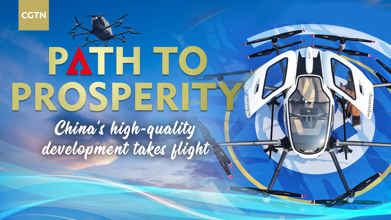 China’s Skyward Surge: Low-Altitude Economy Takes Flight 🚁✨ video poster