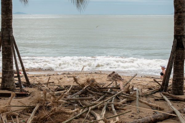 Vietnam's 2025 Natural Disasters Cost $3.9B 🌪️💸