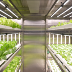 TU6NKE4RNVQFG8CHAI48 - 🌍NewspaperAmigo – Your Global News Buddy 🗞️ China Pioneers Smart Farming at Sea with Hybrid Tech 🌱🚢 video poster