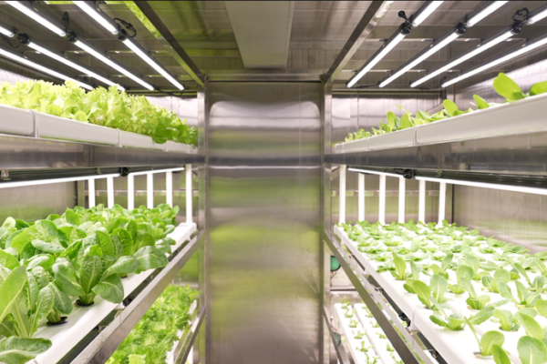 China Pioneers Smart Farming at Sea with Hybrid Tech 🌱🚢 video poster