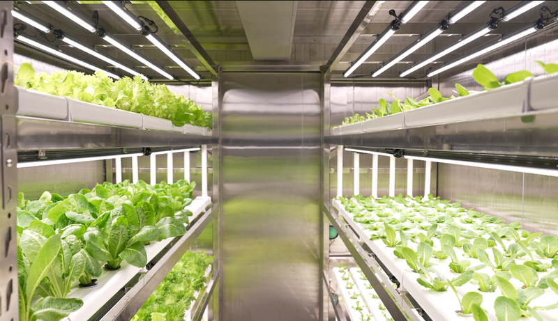 China Pioneers Smart Farming at Sea with Hybrid Tech 🌱🚢 video poster