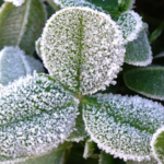 China Braces for Winter's First Major Snowfall ❄️🌬️