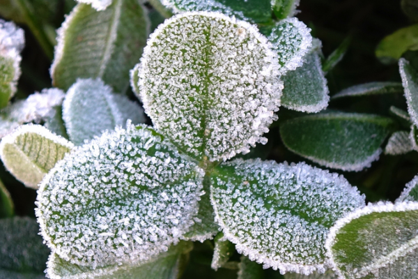 China Braces for Winter's First Major Snowfall ❄️🌬️