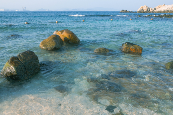 Hainan's Wuzhizhou Island Blends Eco-Tourism & Coral Revival 🌊🐠 video poster