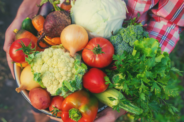 China Launches Smart Ship Farms to Grow Veggies at Sea 🌱🚢
