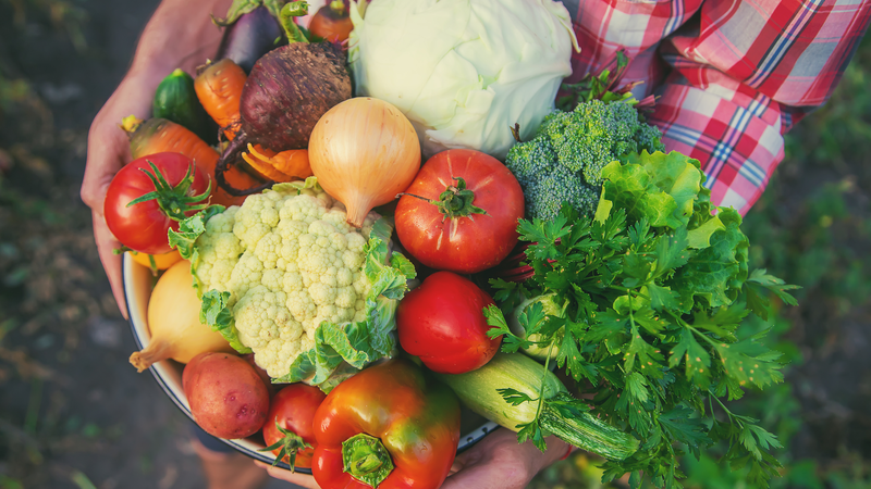 Y5JFQEK3X26QAY9B0NL4 - 🌍NewspaperAmigo – Your Global News Buddy 🗞️ China Launches Smart Ship Farms to Grow Veggies at Sea 🌱🚢